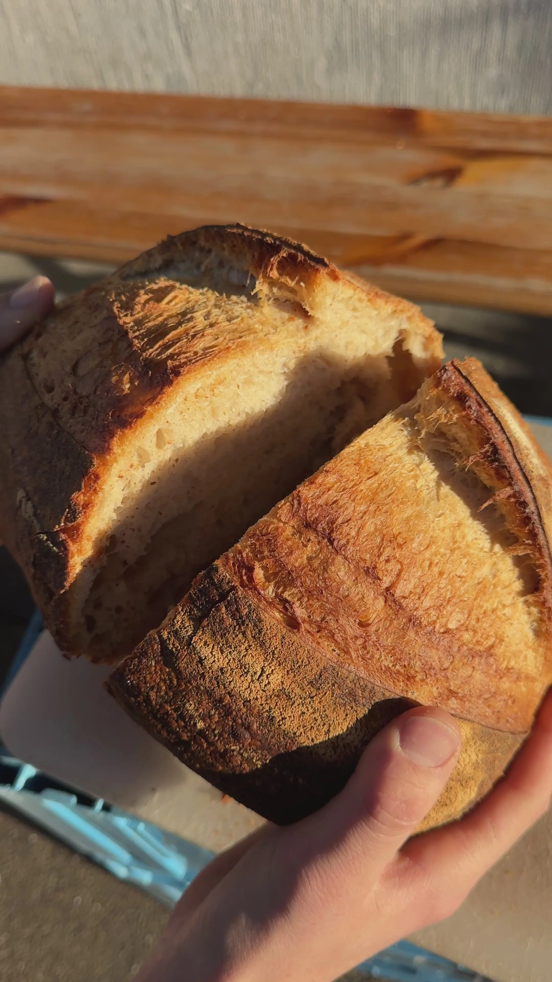 A crusty plantbased sourdough loaf torn open in the sun